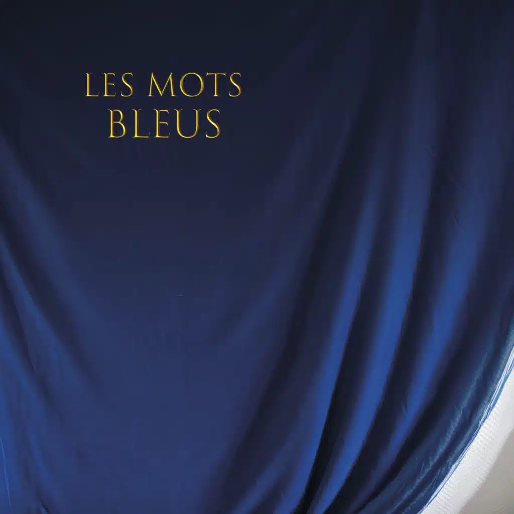 Les mots bleus