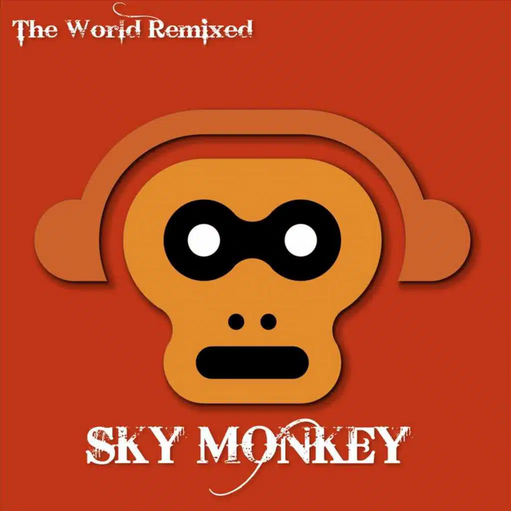 The World Remixed