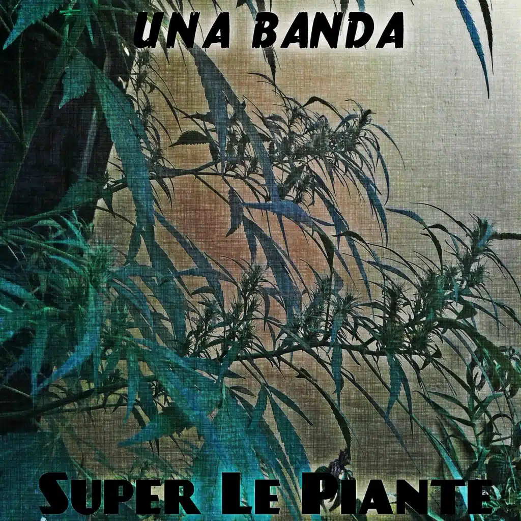 Super Le Piante