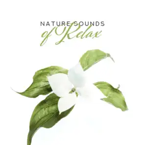 Nature Sounds of Relax: New Age Fresh 2019 Music Collection, Relaxing Nature & Ambient Sounds, Deep Rest, Calming Down, Inner Meditation Songs