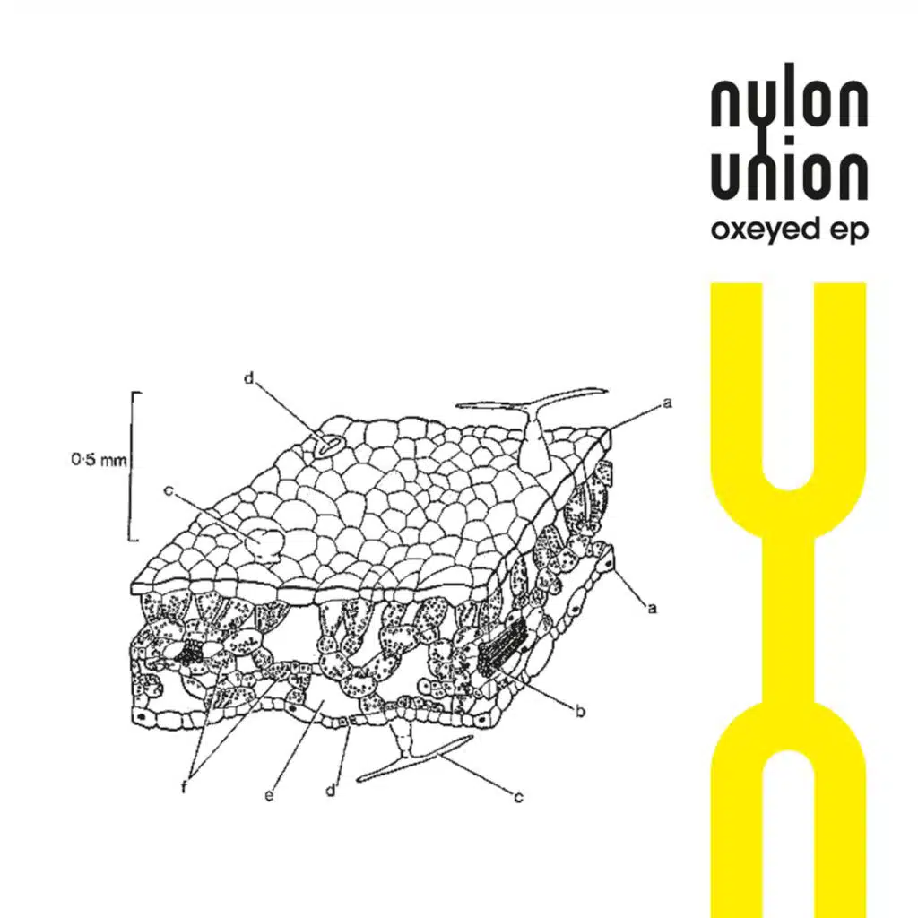 Light One (A Tribute to MBV)