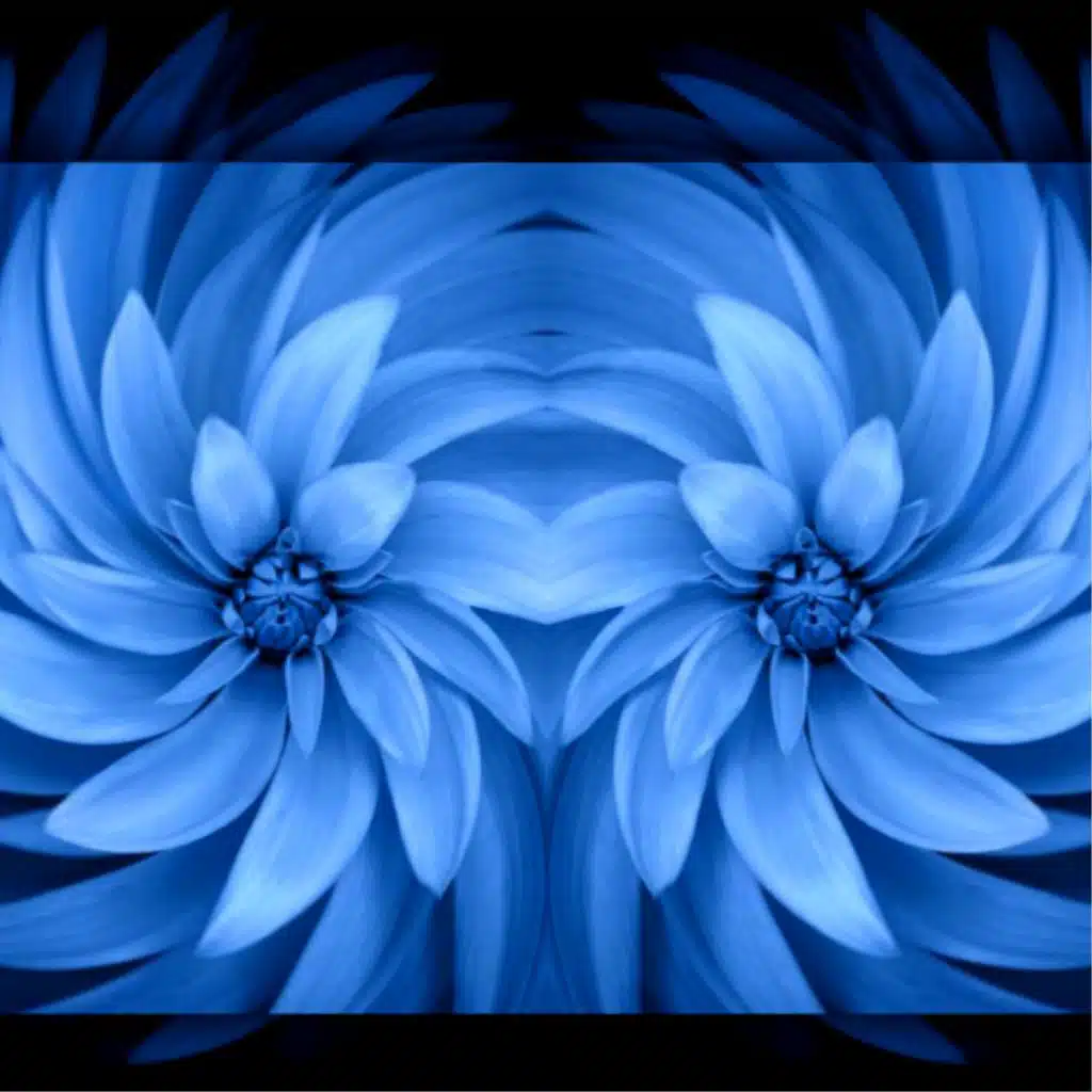 Blue Flower