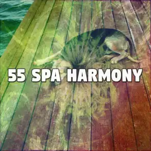 55 Spa Harmony