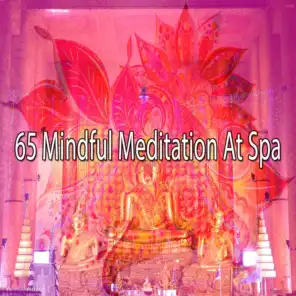65 Mindful Meditation at Spa