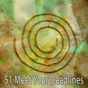 51 Meet Your Deadlines