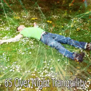 65 Over Night Tranquility