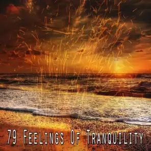 79 Feelings of Tranquility