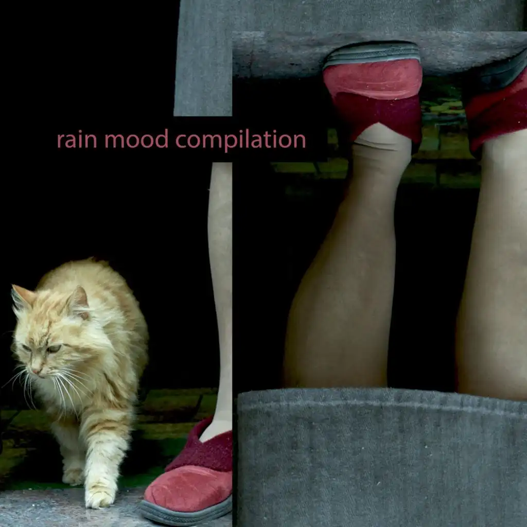 Rain mood compilation
