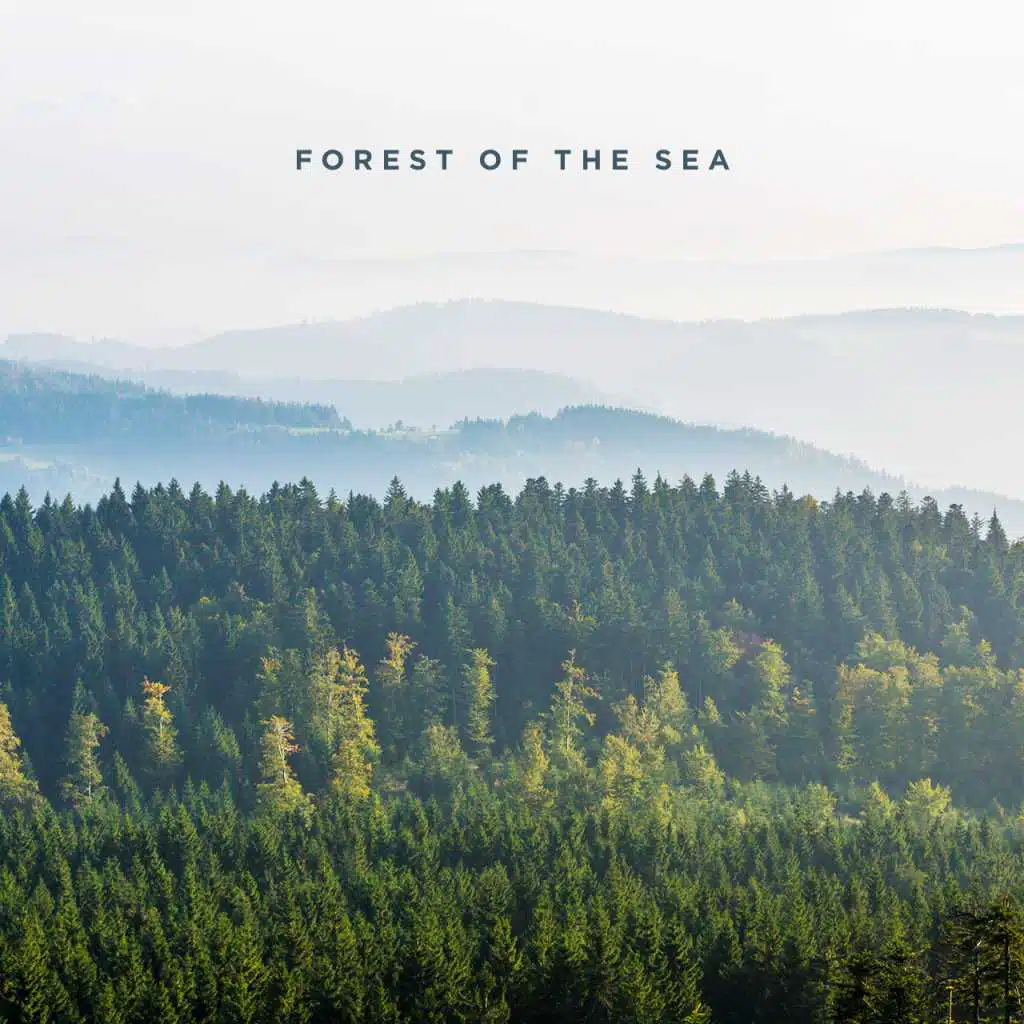 Forest Of The Sea