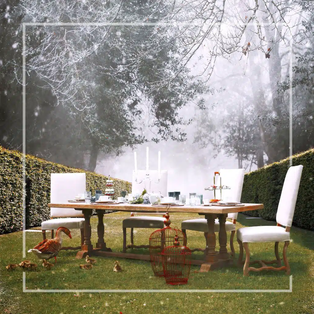 Fine Dining Under the Clouds