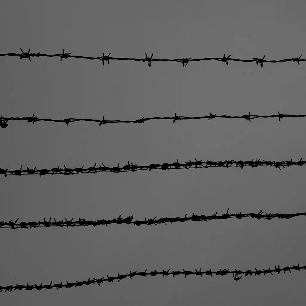 Chopin: Prelude No.4 in E Minor, Op. 28 (Suffocation)