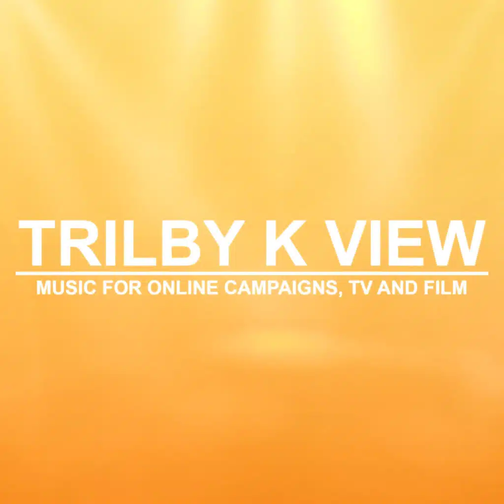 Music for Online Campaigns, TV and Film