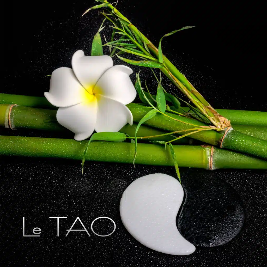 Le TAO - Une atmosphère à la détente, La tradition taoïste, Source de bien-être et de paix intérieure