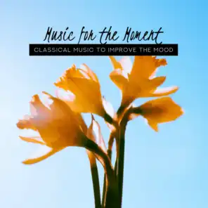 Music for the Moment: Classical Music to Improve the Mood