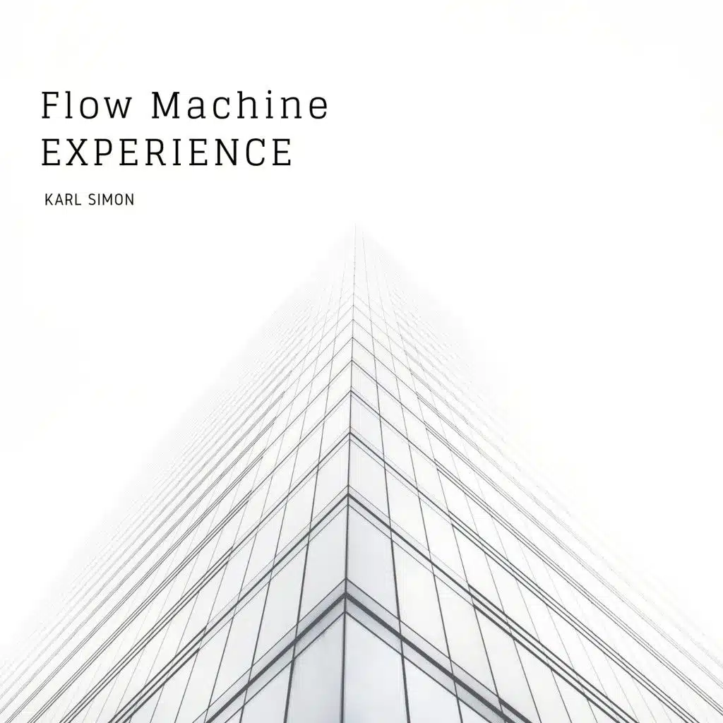 Flow Machine Experience