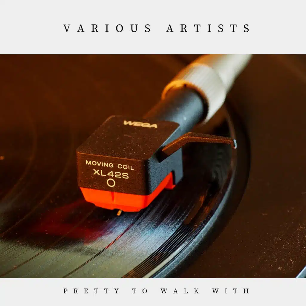 Take It Slow, Joe (feat. Lehman Engel and His Orchestra)