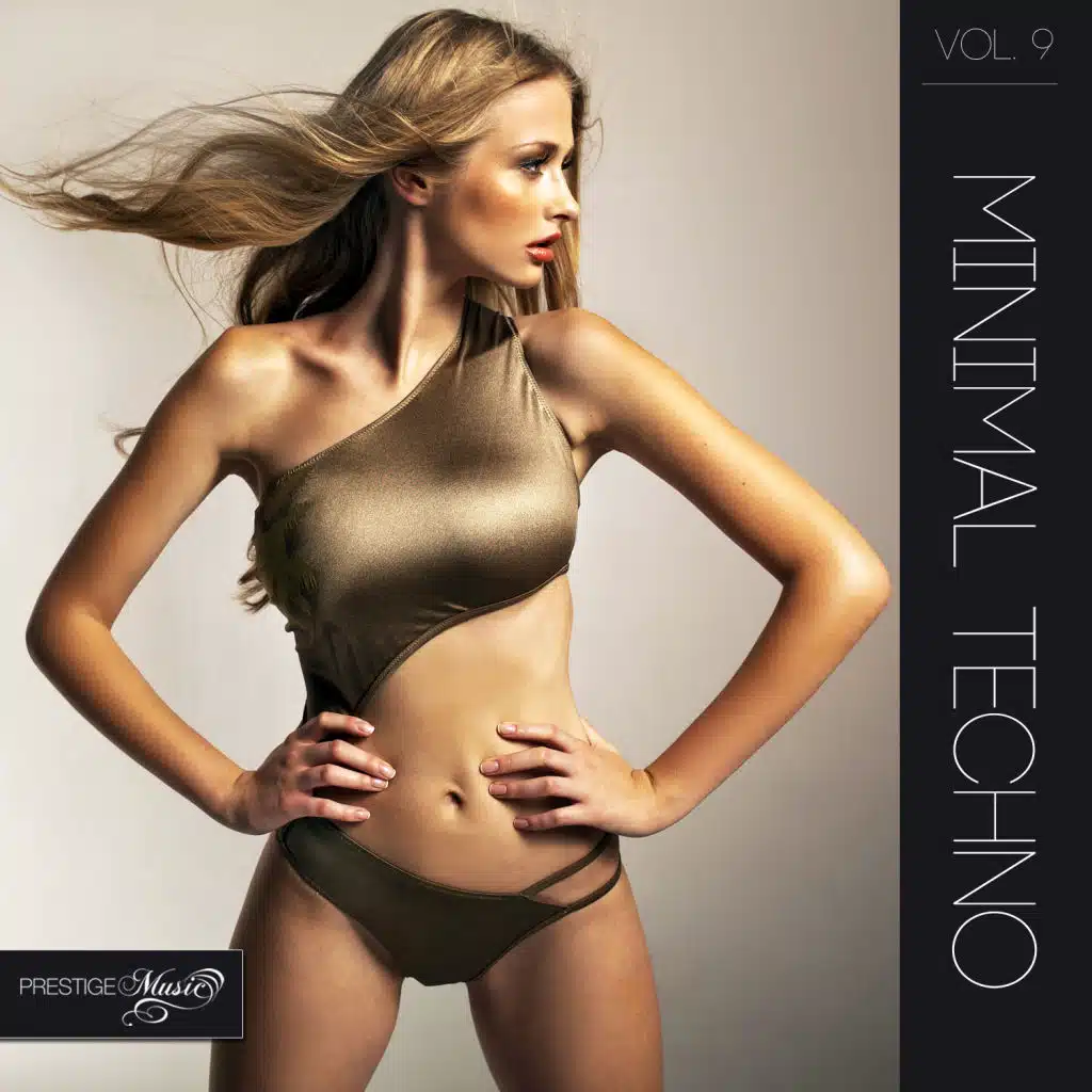 Minimal Techno, Vol.9