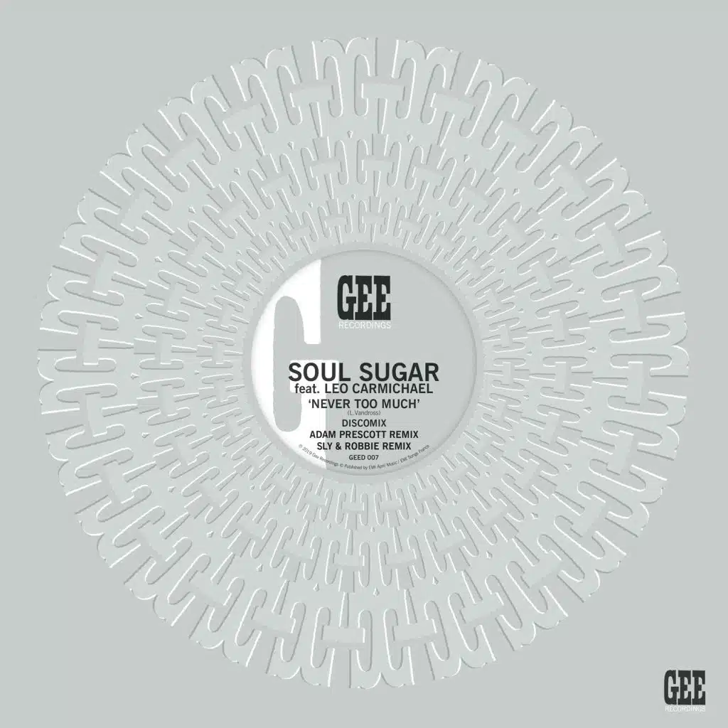 Never Too Much (feat. Leo Carmichael)