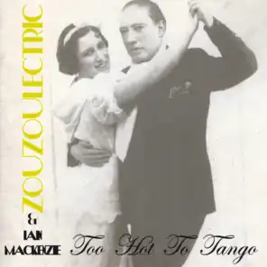 Too Hot to Tango (Gardener of Delight & Jojo Effect Remix Radio Edit)