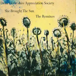 Delia Derbyshire Appreciation Society