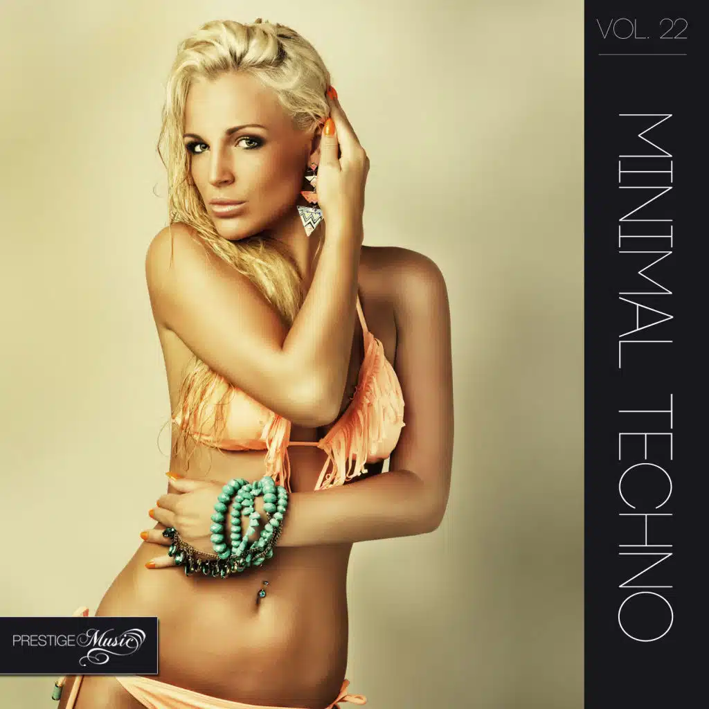 Minimal Techno, Vol.22