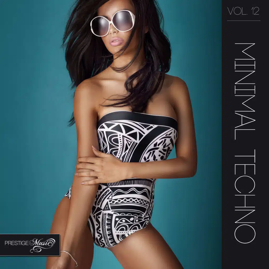 Minimal Techno, Vol.12