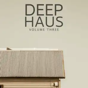 Deep Haus, Vol. 3