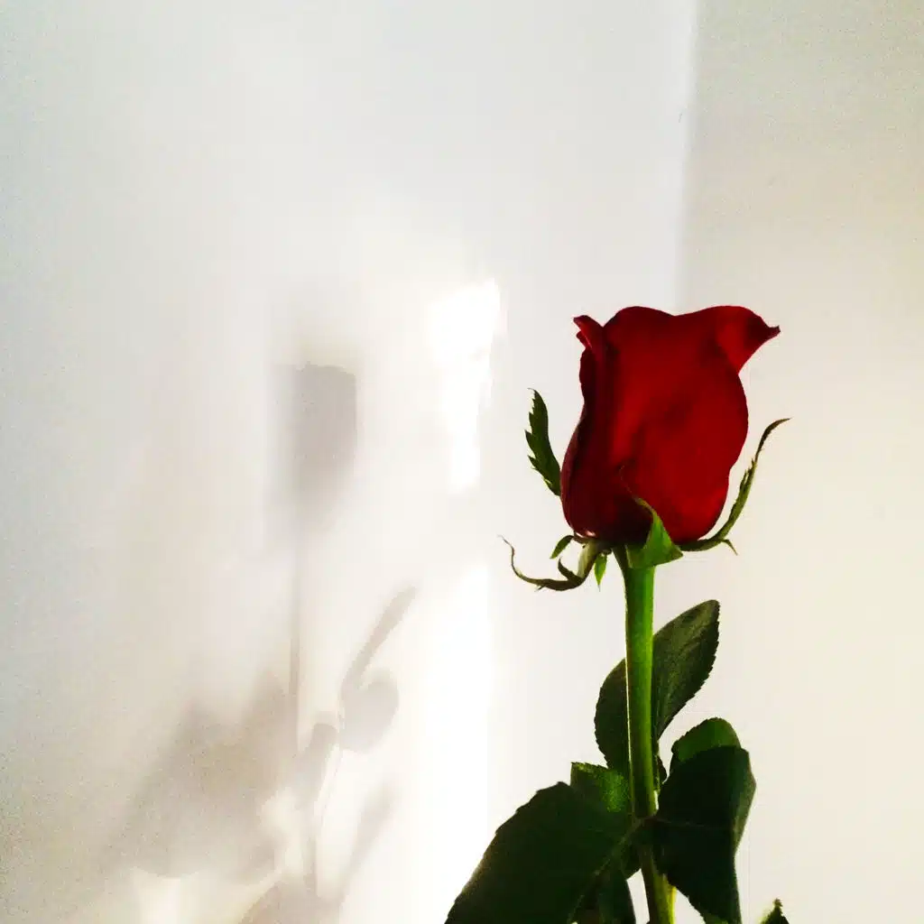 LESS THAN THREE (feat. Lil Happy Lil Sad)