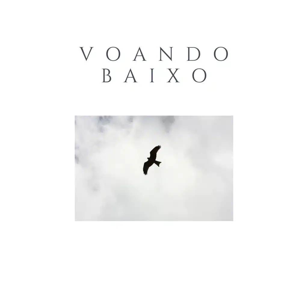 Voando Baixo (feat. Ferfe)