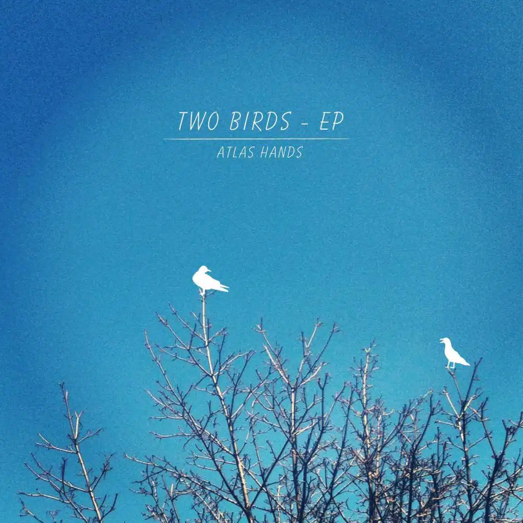 Two Birds