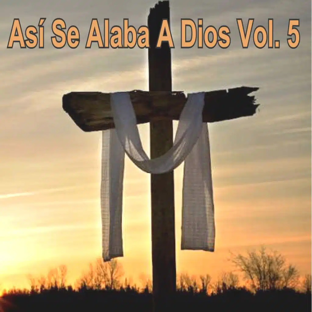 Así Se Alaba a Dios, Vol. 5
