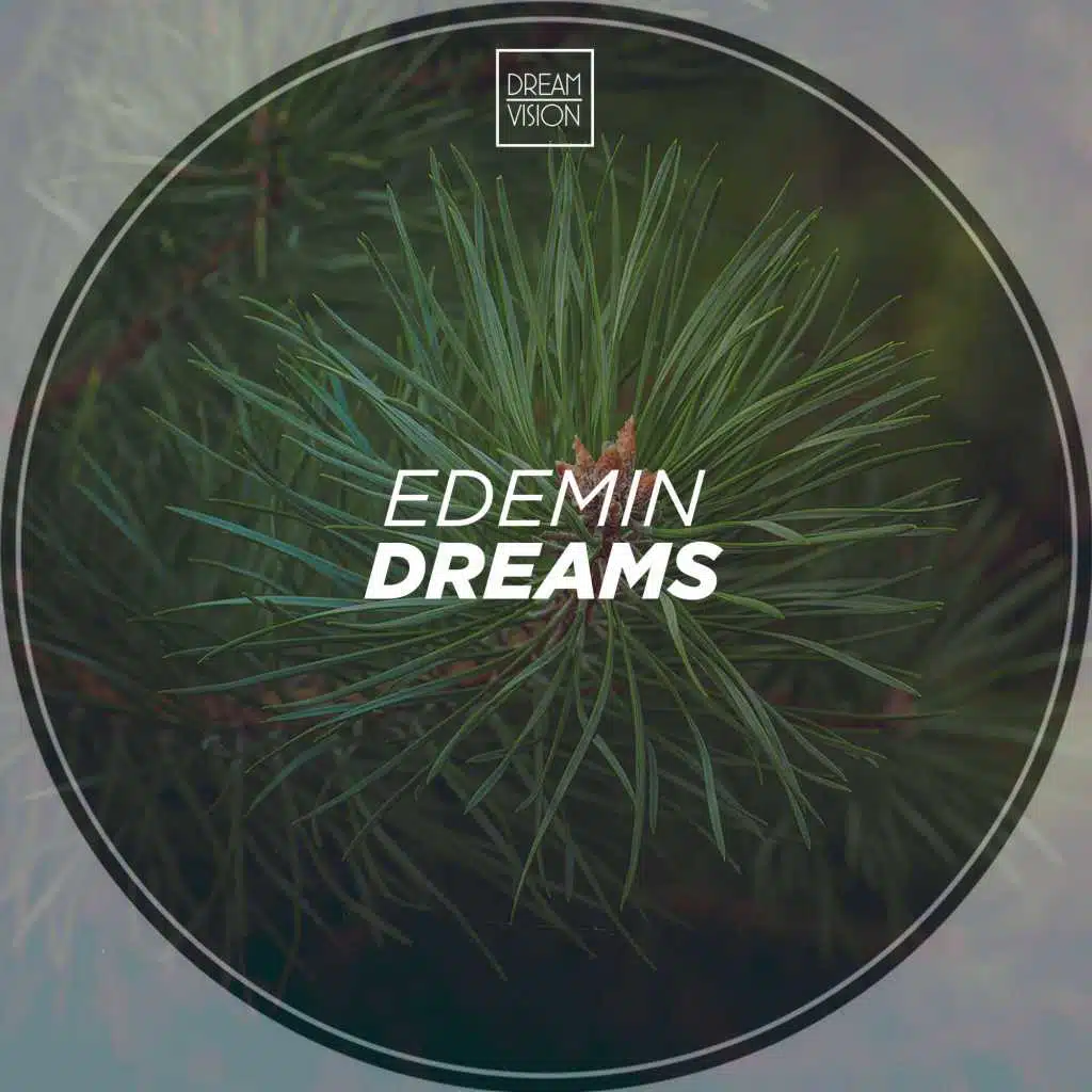 Dreams