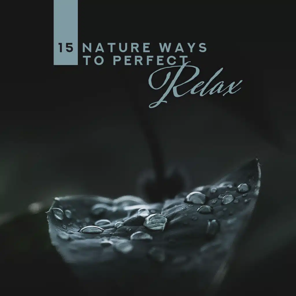 15 Nature Ways to Perfect Relax: 2019 New Age Soothing Music, Most Relaxing Natue Sounds of Birds & Water with Piano Melodies, Songs to Calm Down, Stress Relief, Perfect Rest