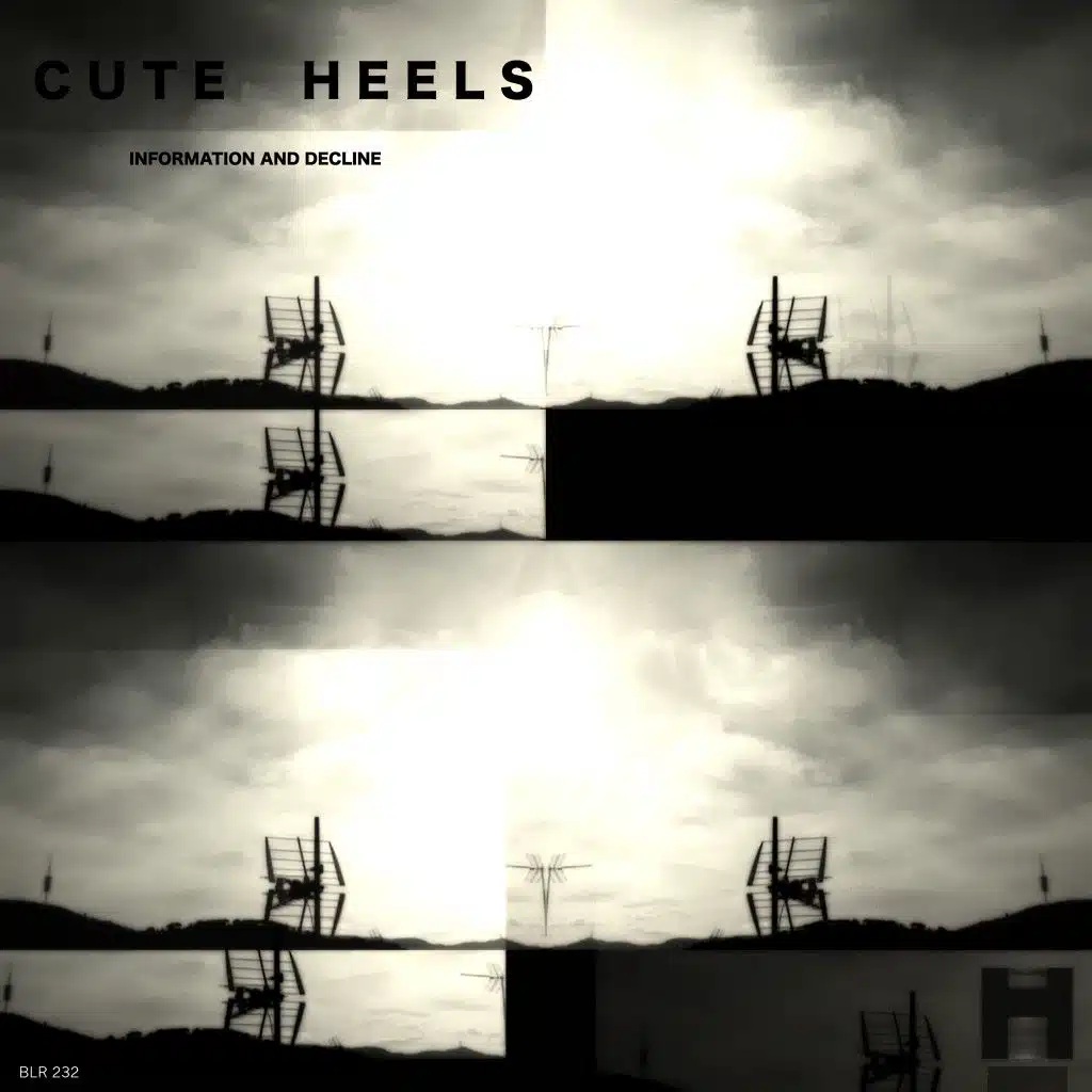 Information and Decline