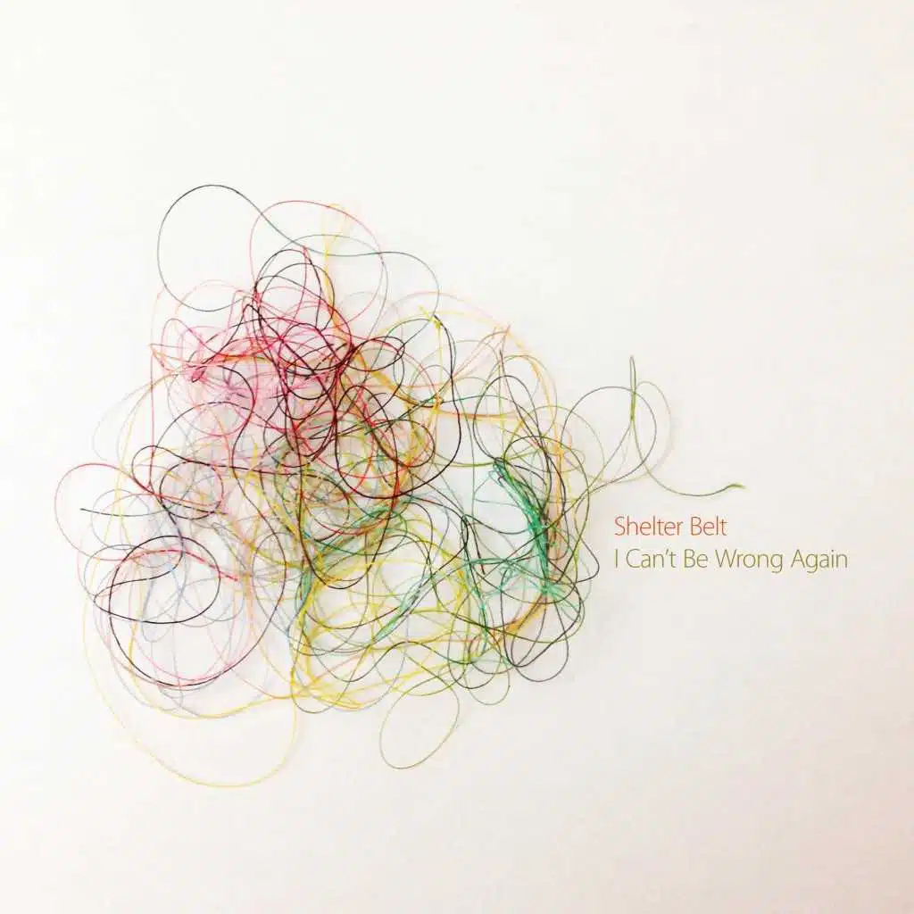 I Can't Be Wrong Again