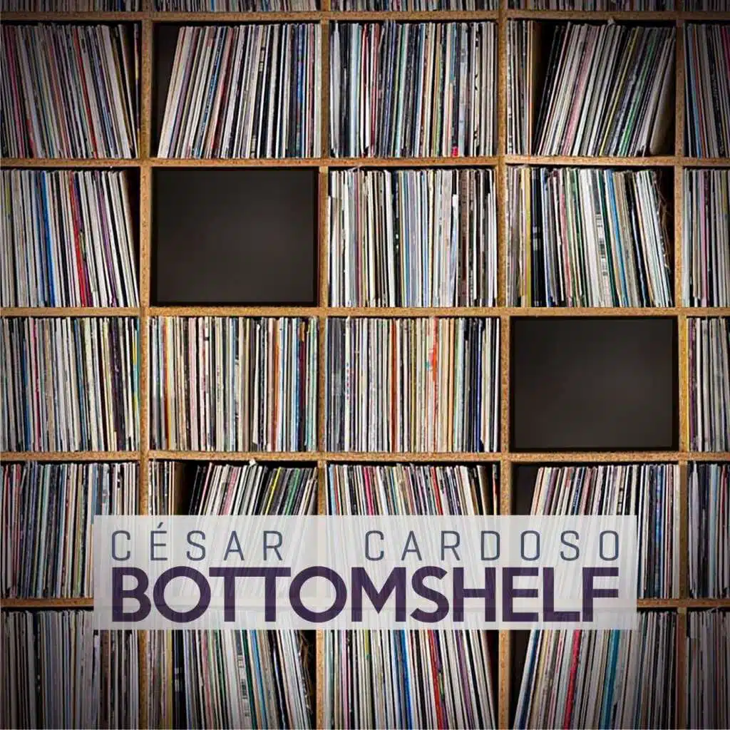 Bottom Shelf