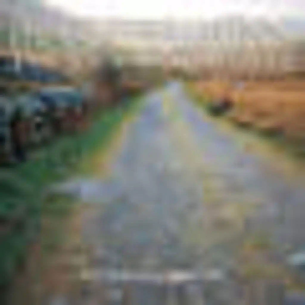 Redemption Song (New Release)