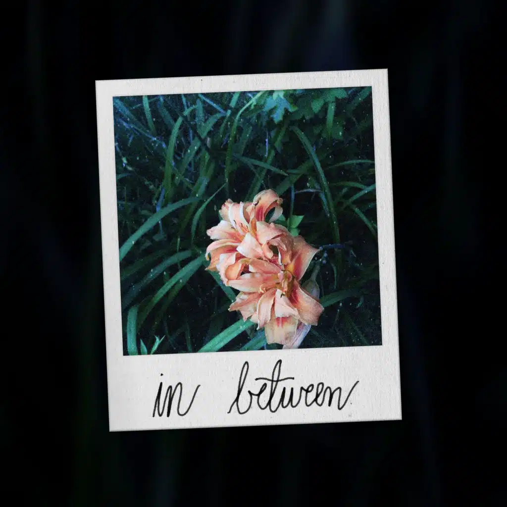 in between (feat. lando)