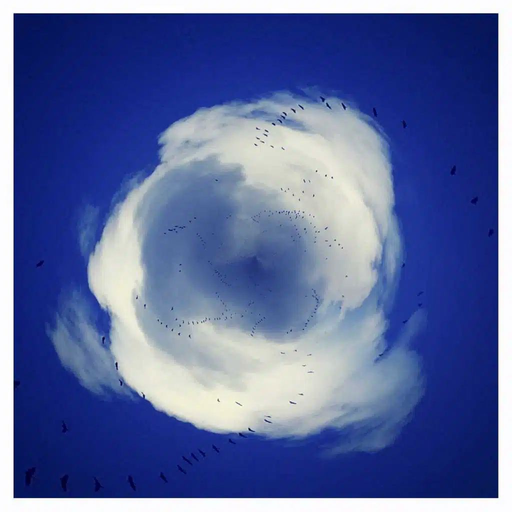 The Clouds, You Float