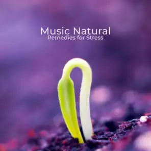 Music Natural Remedies for Stress: 2019 Total Relaxation New Age Songs to Help You Fight with Anxiety, Stress, Depression, Full Body & Mind Control