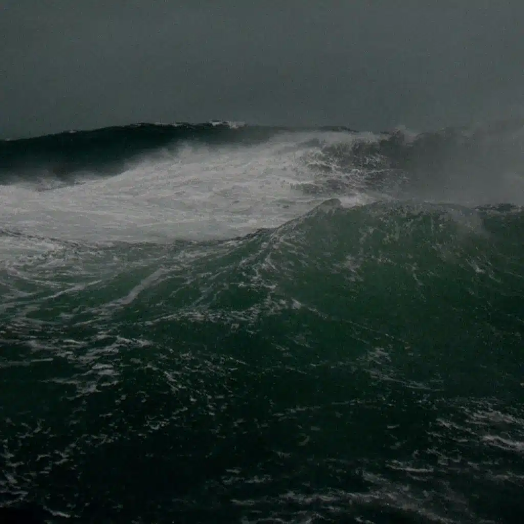 Their Bodies Clutter the Sea