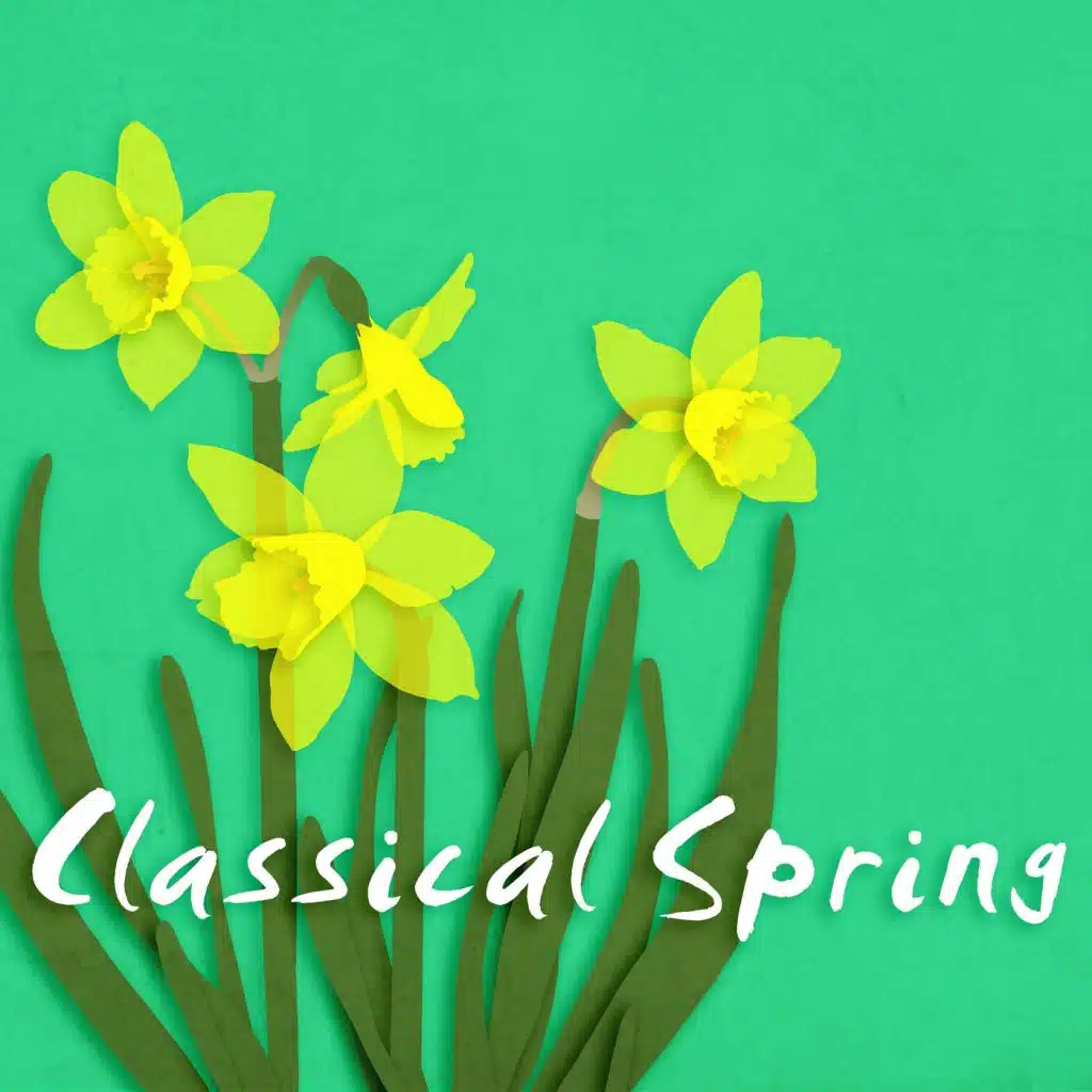Classical Spring