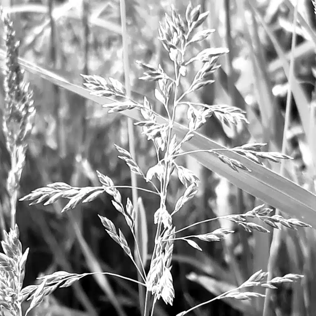 Aidan (Arnaud Le Texier Beatless Remix)