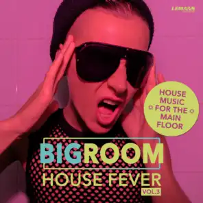 Bigroom House Fever, Vol. 3