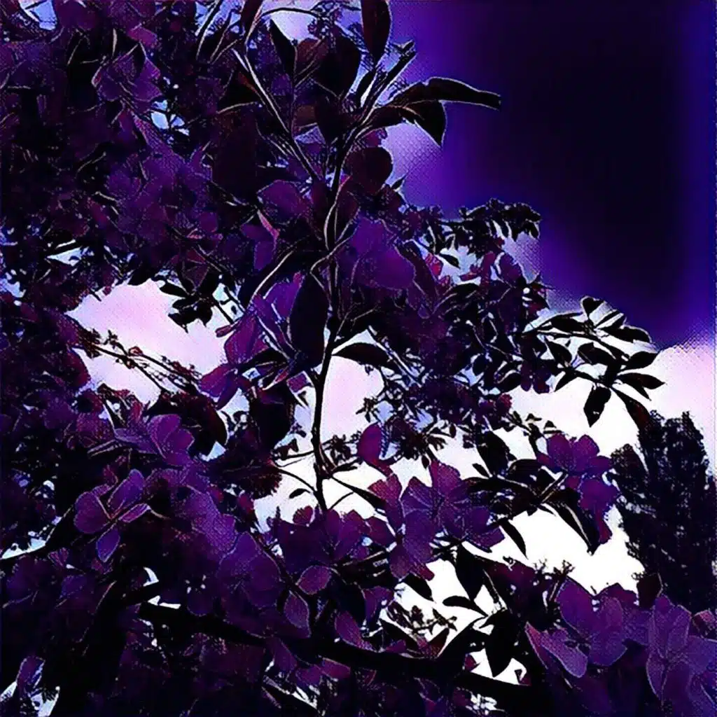 Chopin Piano Collection