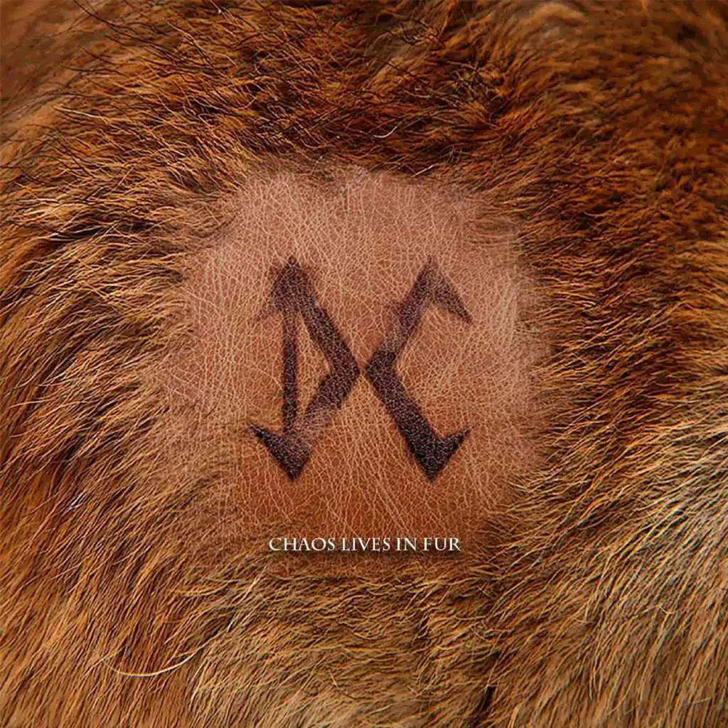 Chaos Lives In Fur