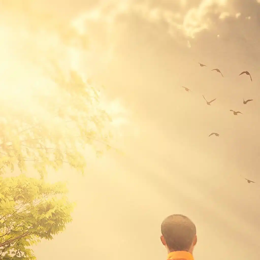 Focusing On Meditating