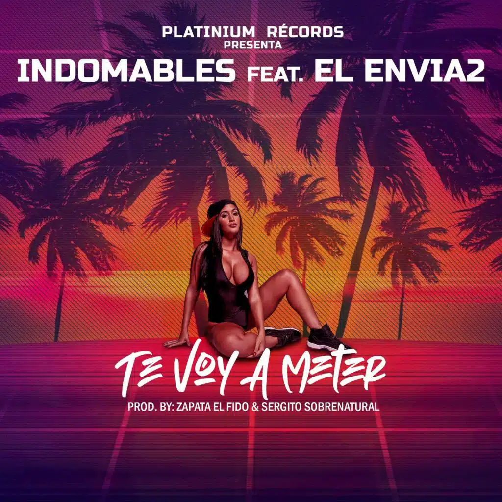 Te Voy a Meter (feat. El Envia2 & Zapata el Fido)