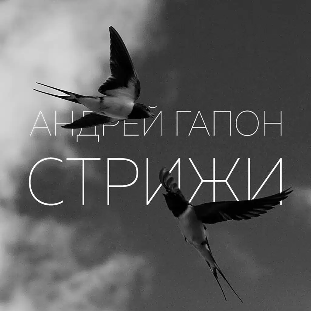 Стрижи