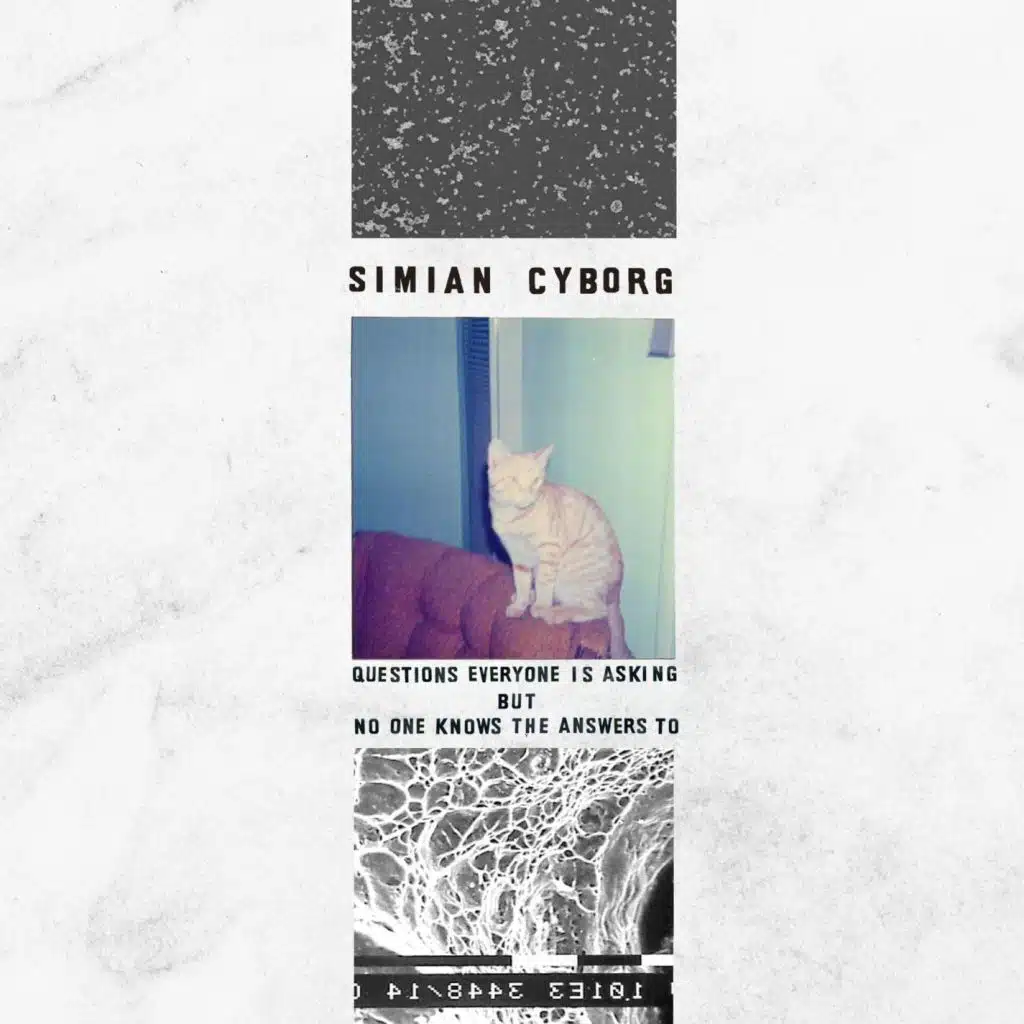 Questions Everyone is Asking but No One Knows the Answers To